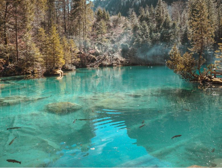 1650961485539267.png 微信截圖_20220401133602.png